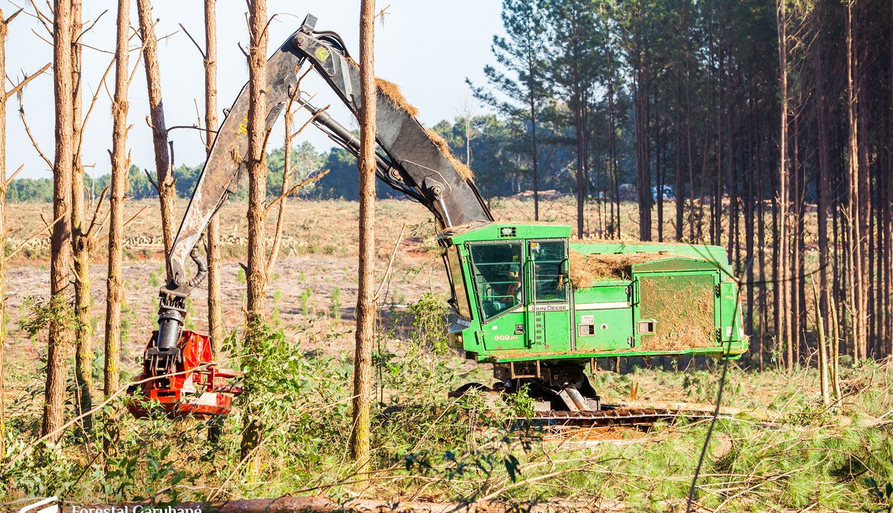 Volteadora Forestal
