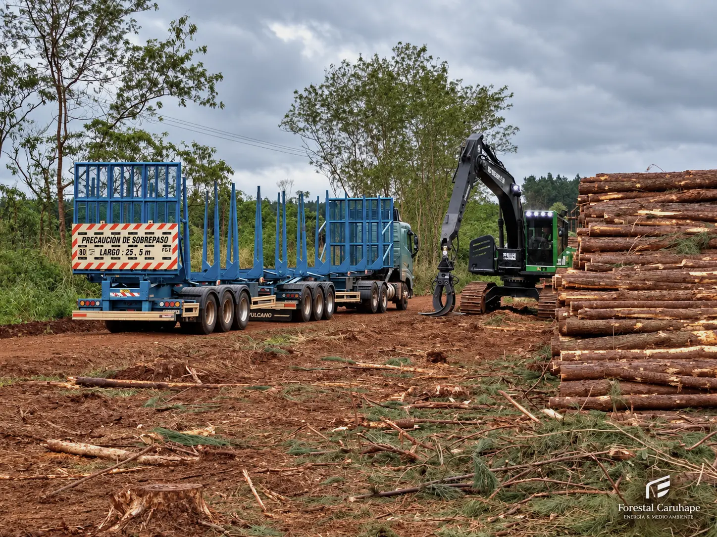 Camión forestal junto a madera y equipo de carga